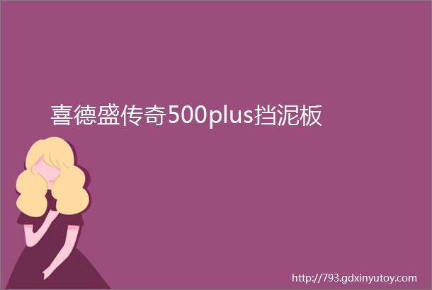 喜德盛传奇500plus挡泥板